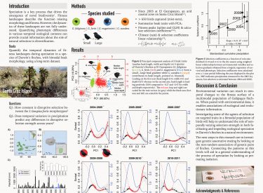 Characterizing ftness landscapes in Darwin’s fnches with a Bayesian hierarchical model