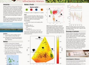 Temporally varying local selection revealed by fitness landscapes in Darwin’s finches