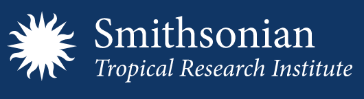 capture-decran-2023-05-12-102957